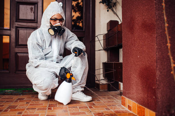 Reliable Wasp Removal contractor in Sun City Center, FL by Show Me Pest Control